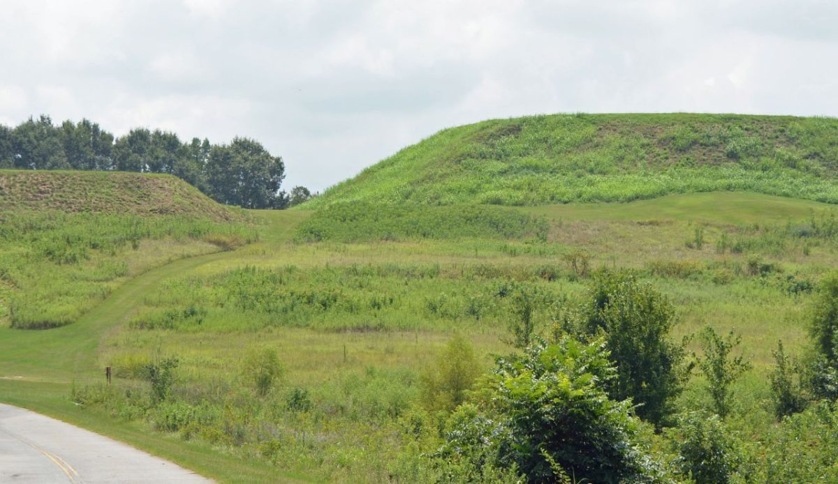  River Trail Boardwalk, Ocmulgee Mounds National Historical Park, Georgia