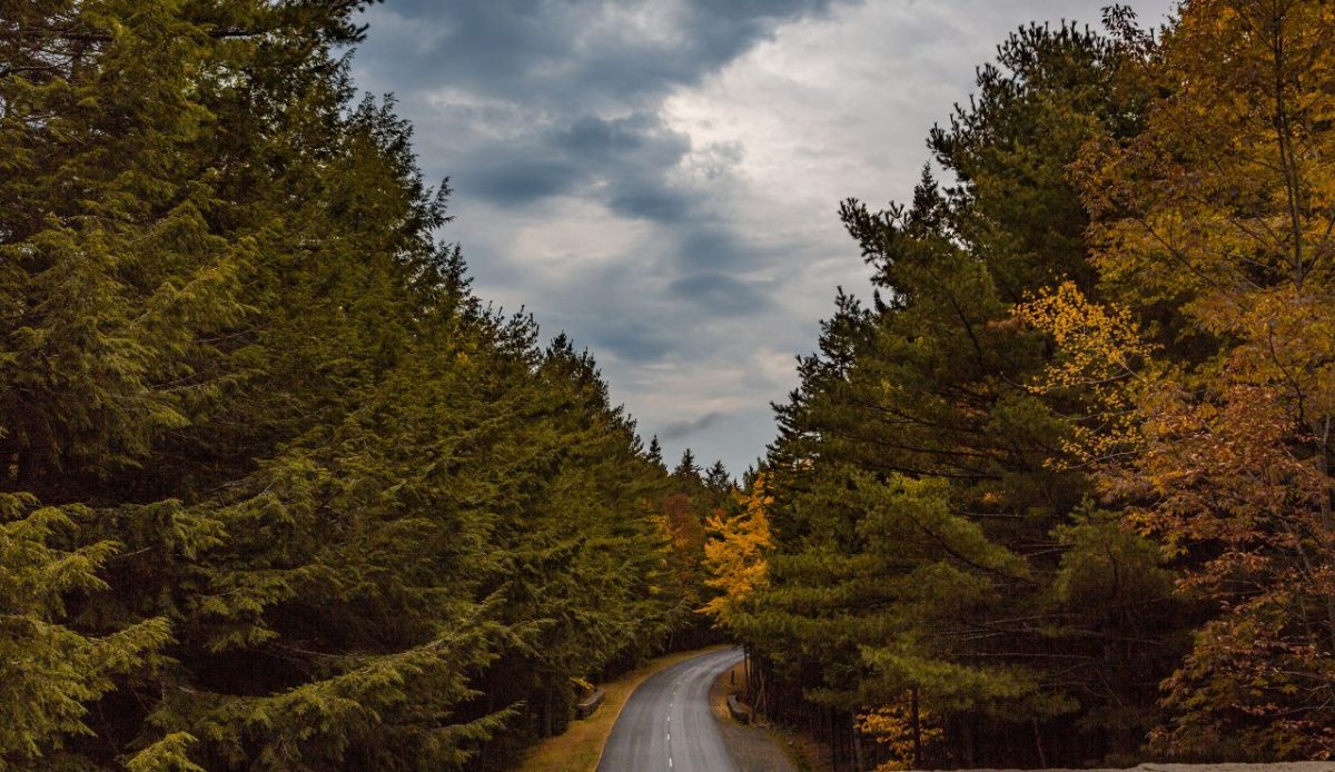 Park Loop Road (Acadia National Park, Maine)