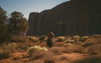 9 American Travel Experiences That Now Require Mandatory Guided Tours