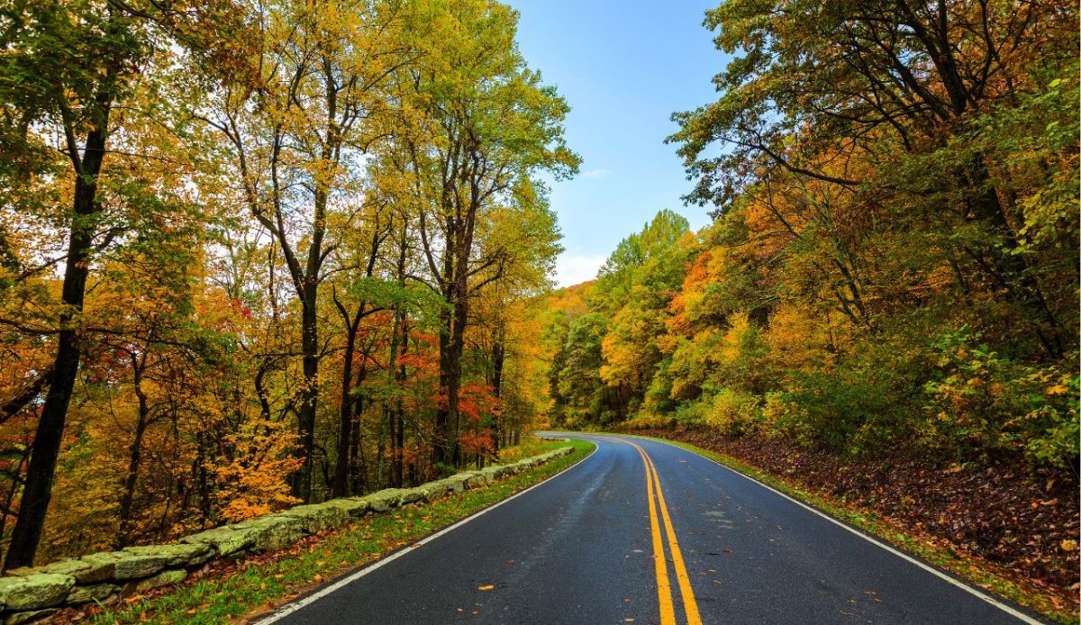 Skyline Drive