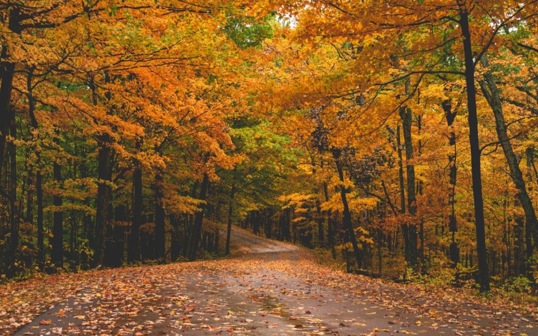 9 Scenic American Highways Now Known for Traffic Gridlock