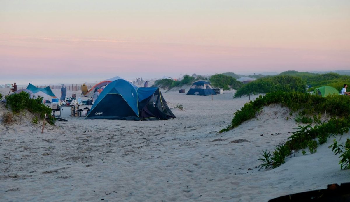 Assateague Island National Seashore Campgrounds (Maryland)
