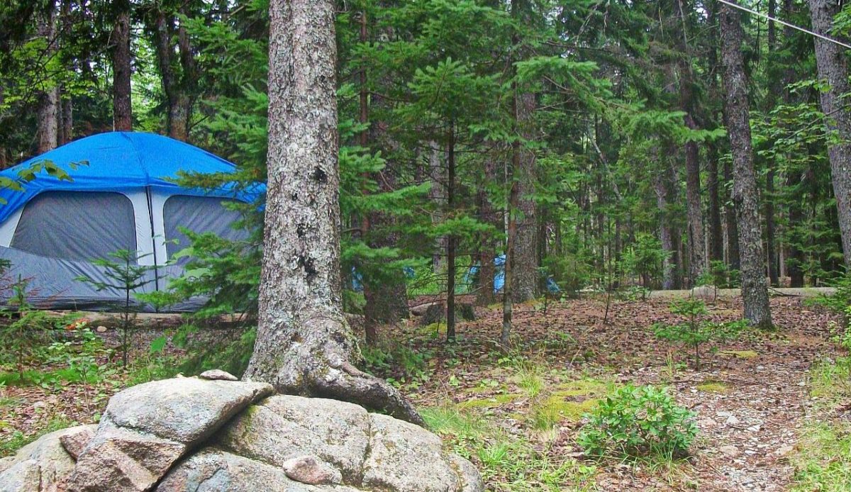 Blackwoods Campground, Acadia National Park (Maine)