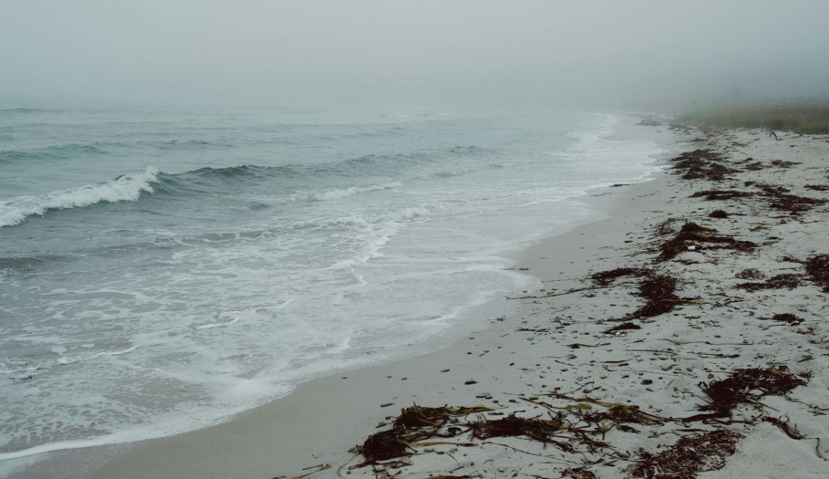 Beach reality not matching the brochure