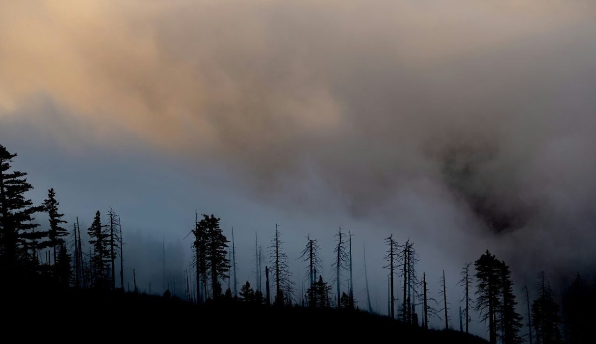 Why climate-driven fires trigger rapid shutdowns