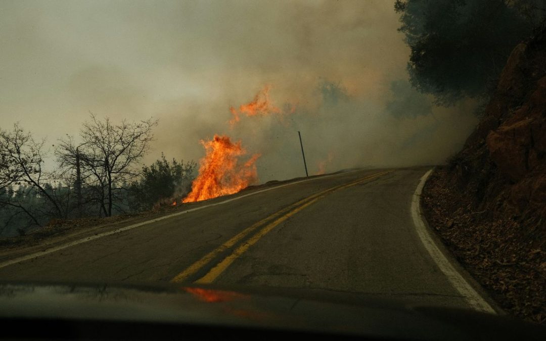 How Climate Driven Wildfires Are Forcing Sudden Park and Highway Closures