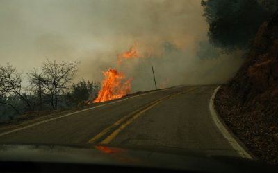 How Climate Driven Wildfires Are Forcing Sudden Park and Highway Closures