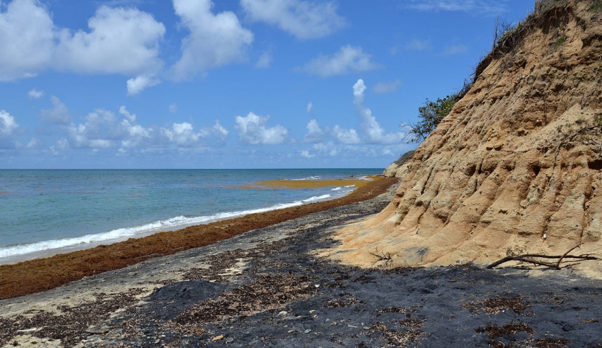 Vieques, Puerto Rico
