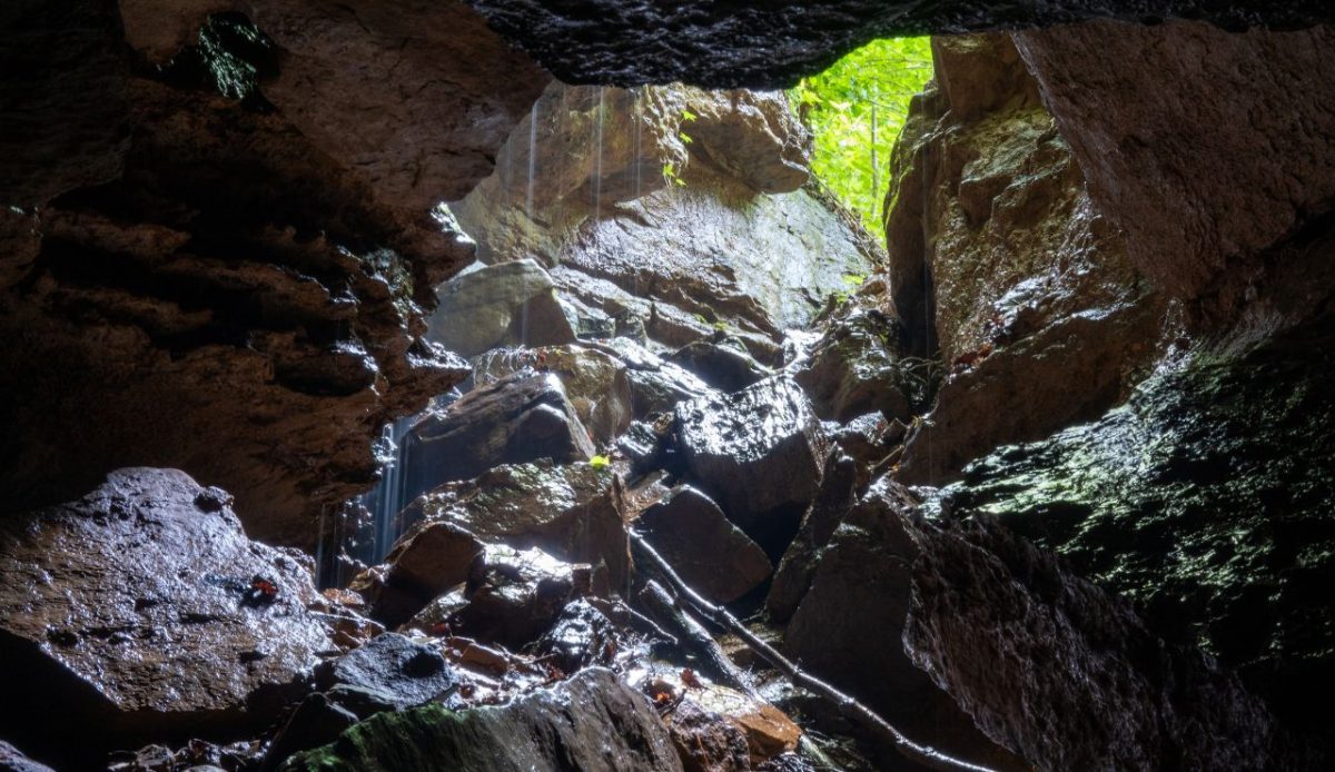 Ellison’s Cave, Georgia