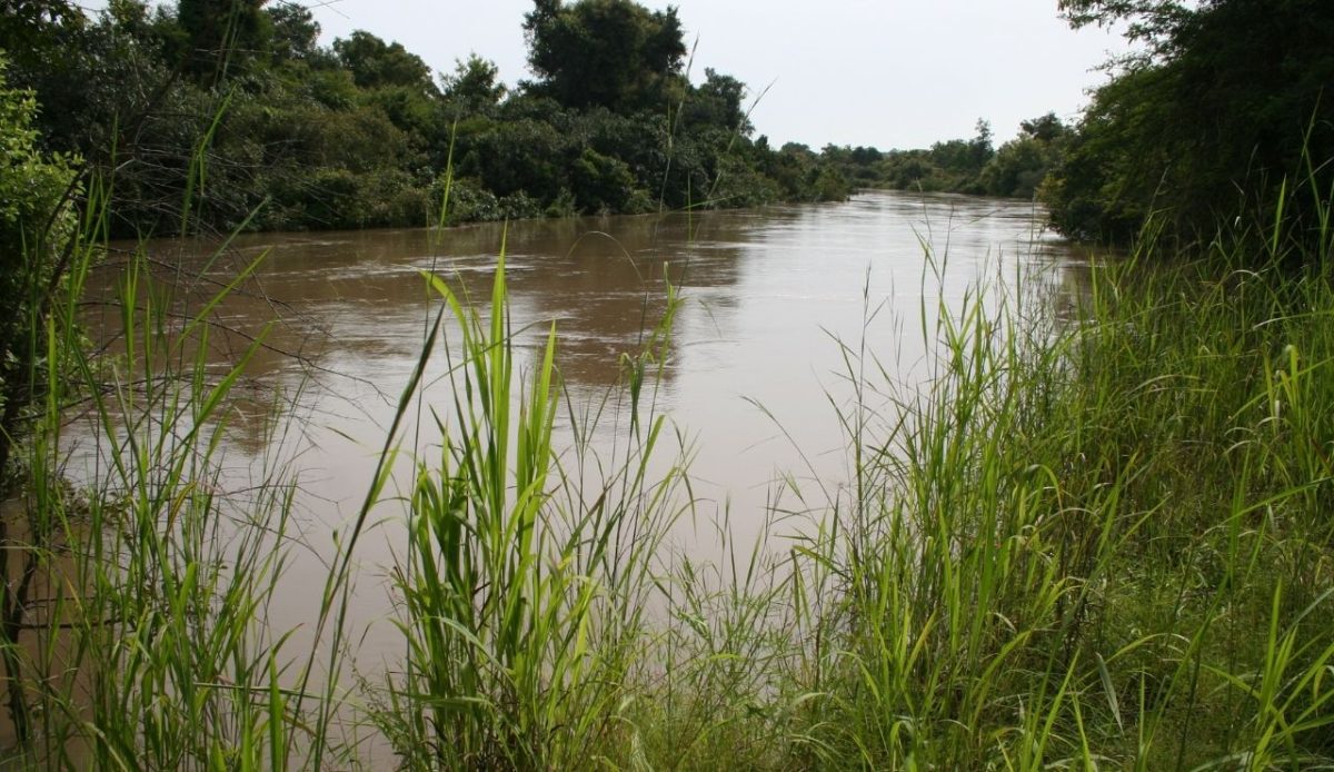 W National Park of Niger, Niger                                    