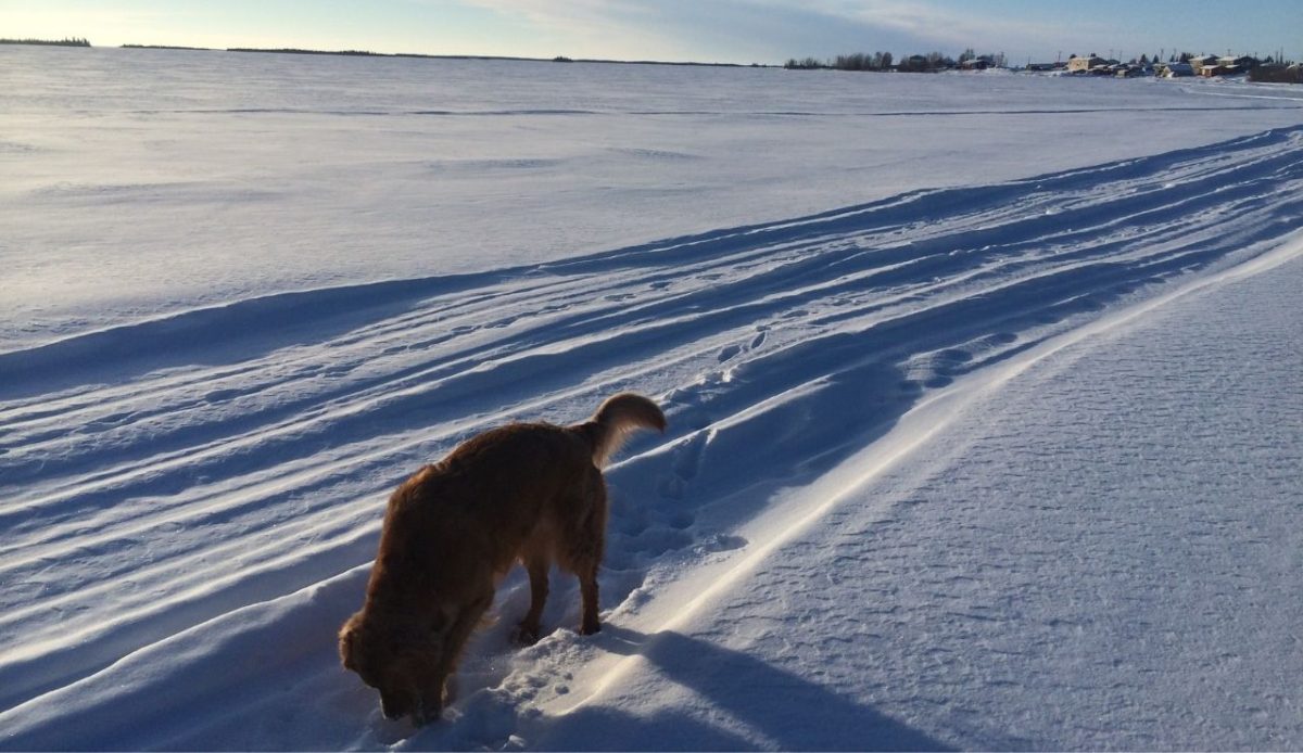 Whatì, Northwest Territories, Canada                                