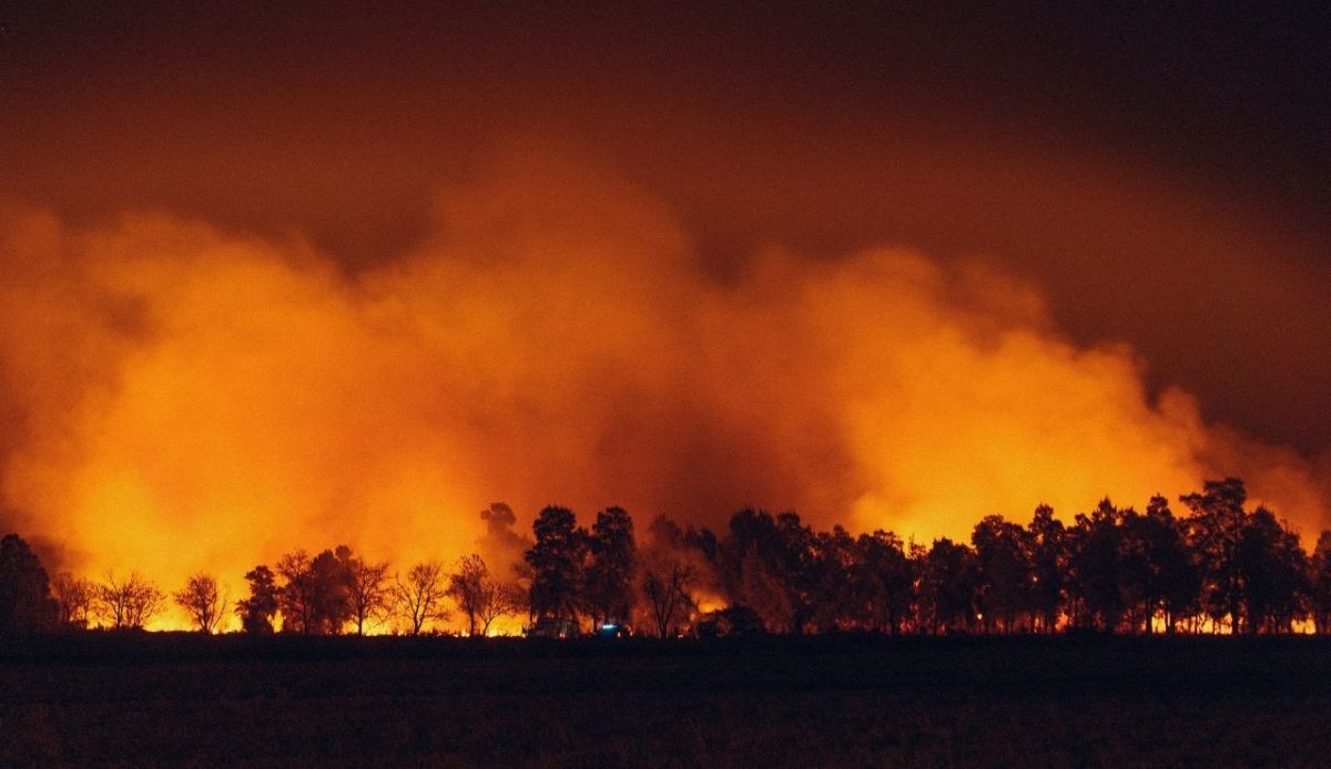 Wildfire in Chaco, Argentina                              