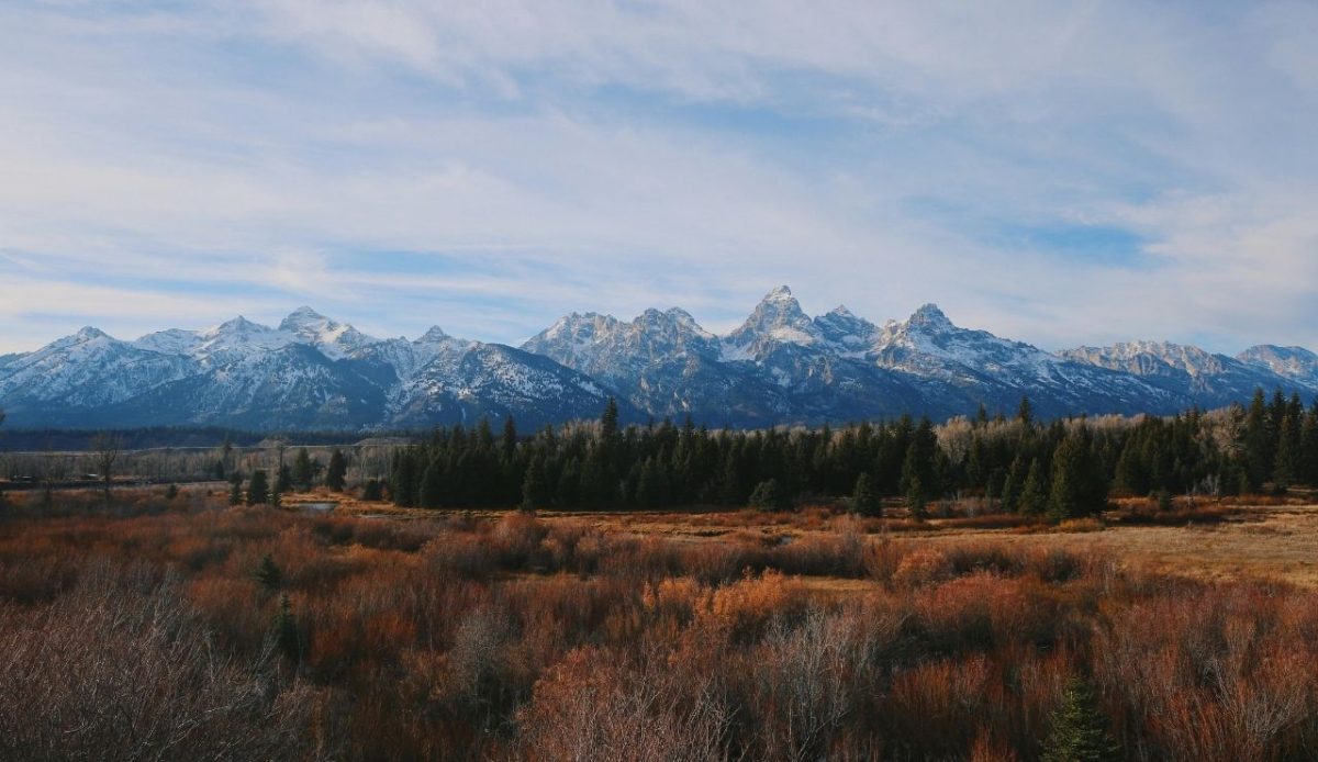 Wongo National Park, Mali                          