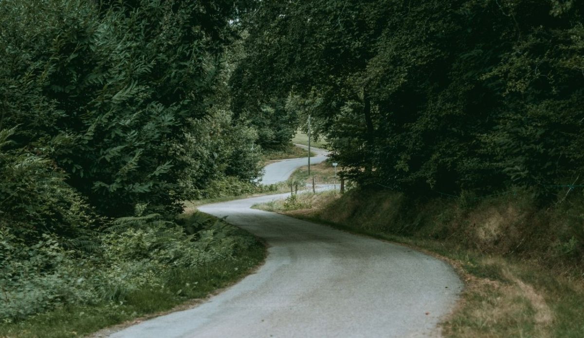 an old road surrounded by greenery                        