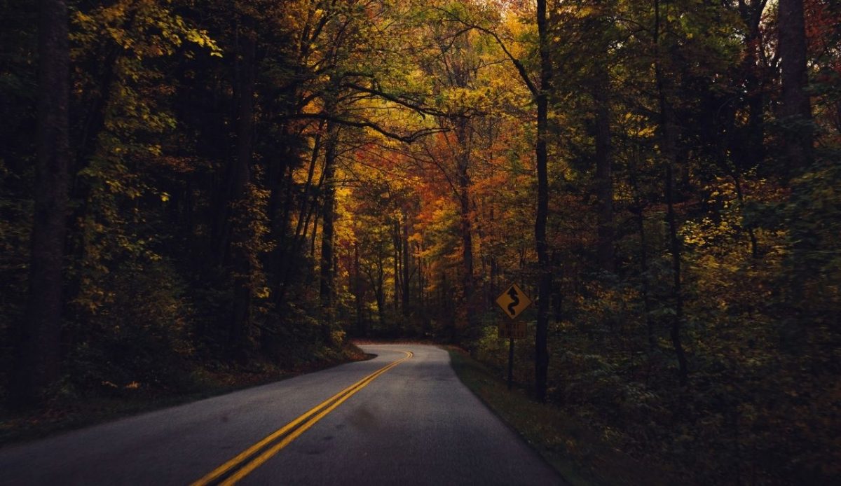 Great Smoky Mountains, United States                          