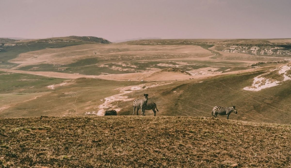 Golden Gate Highlands National Park, Clarens, South Africa 