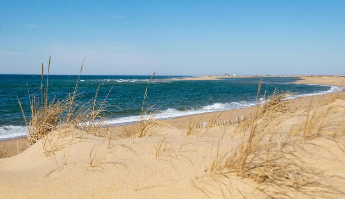sand dunes along Cape Cod shoreline, Massachusetts
