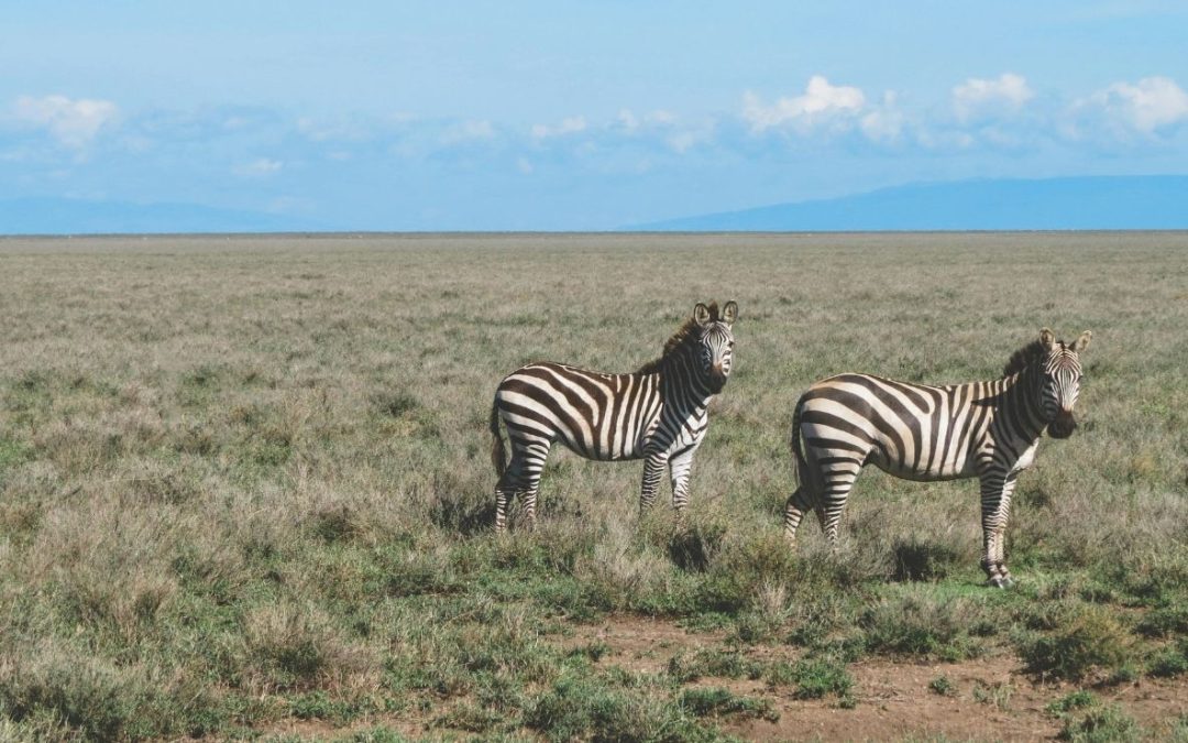 11 Parks Americans Cannot Visit This Year Due to National Entry Bans