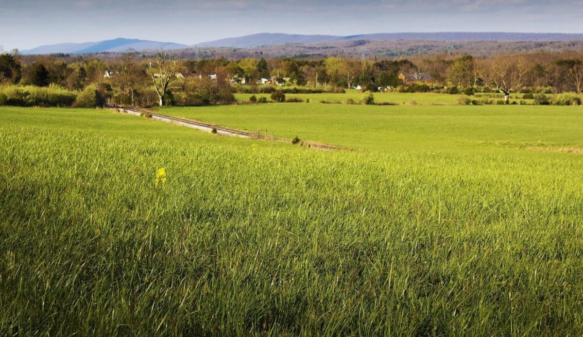Primland, Meadows of Dan, Virginia