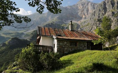 10 Serene Blue Ridge Retreats Gaining Attention in 2026