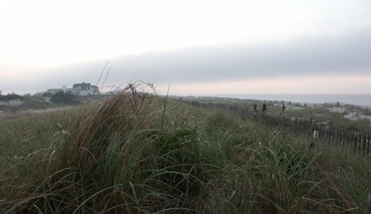East Quogue