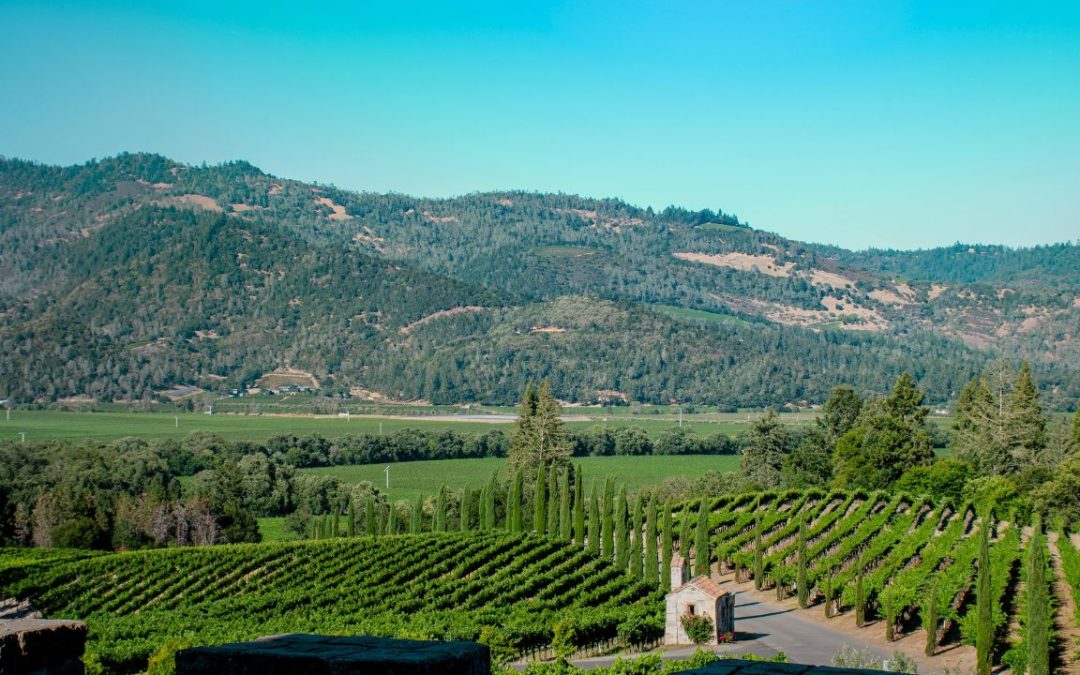 Why Napa Valley and Sonoma Remain Top Luxury Wine Destinations
