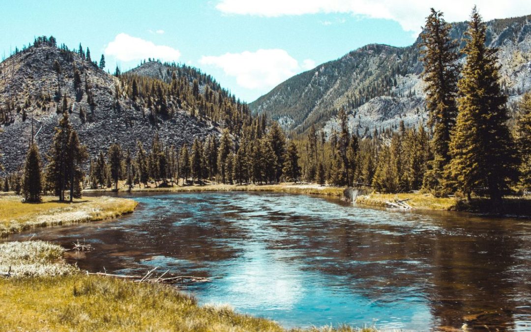 7 National Parks Where Visitors Misread Weapon Rules Every Year