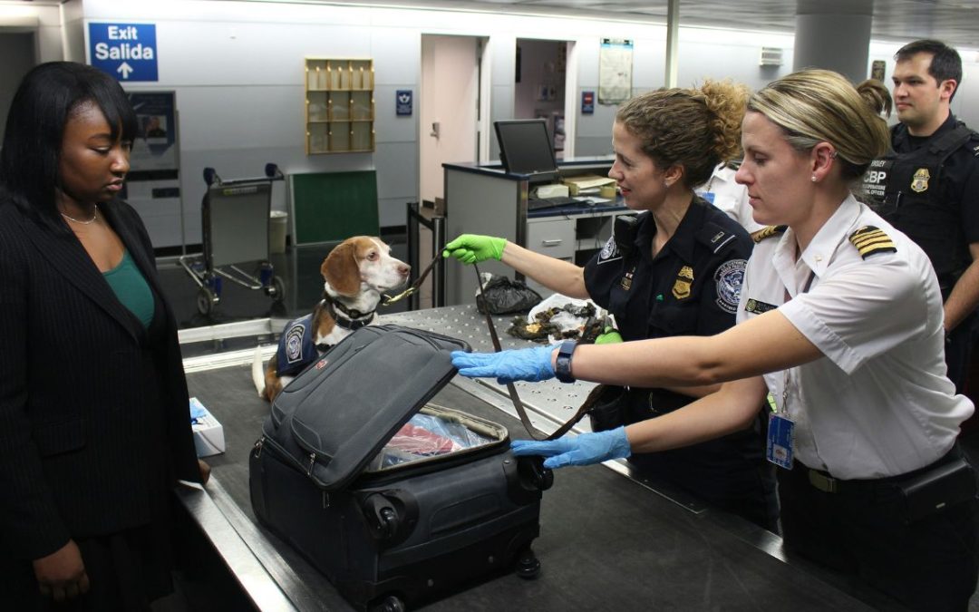 7 Packing Mistakes That Create Problems at Airport Security
