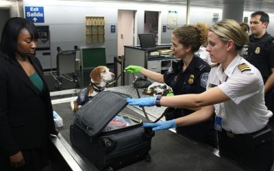 7 Packing Mistakes That Create Problems at Airport Security