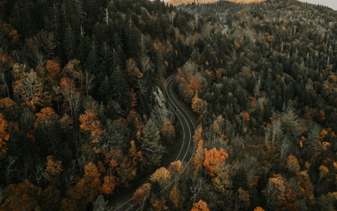 Blue Ridge Mountain Retreats Offering Rare Peace and Scenic Beauty