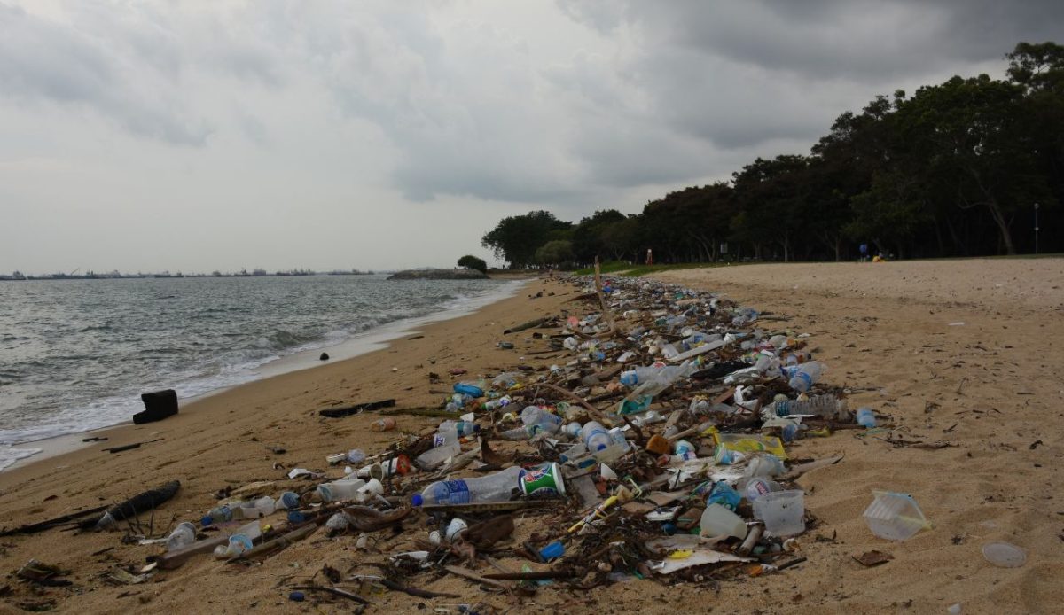 Environmental Wear Is Becoming Harder to Ignore