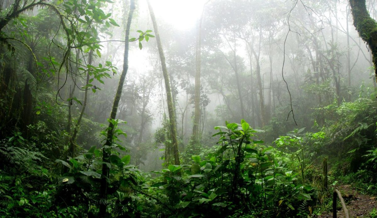 Darién Gap (Colombia–Panama)