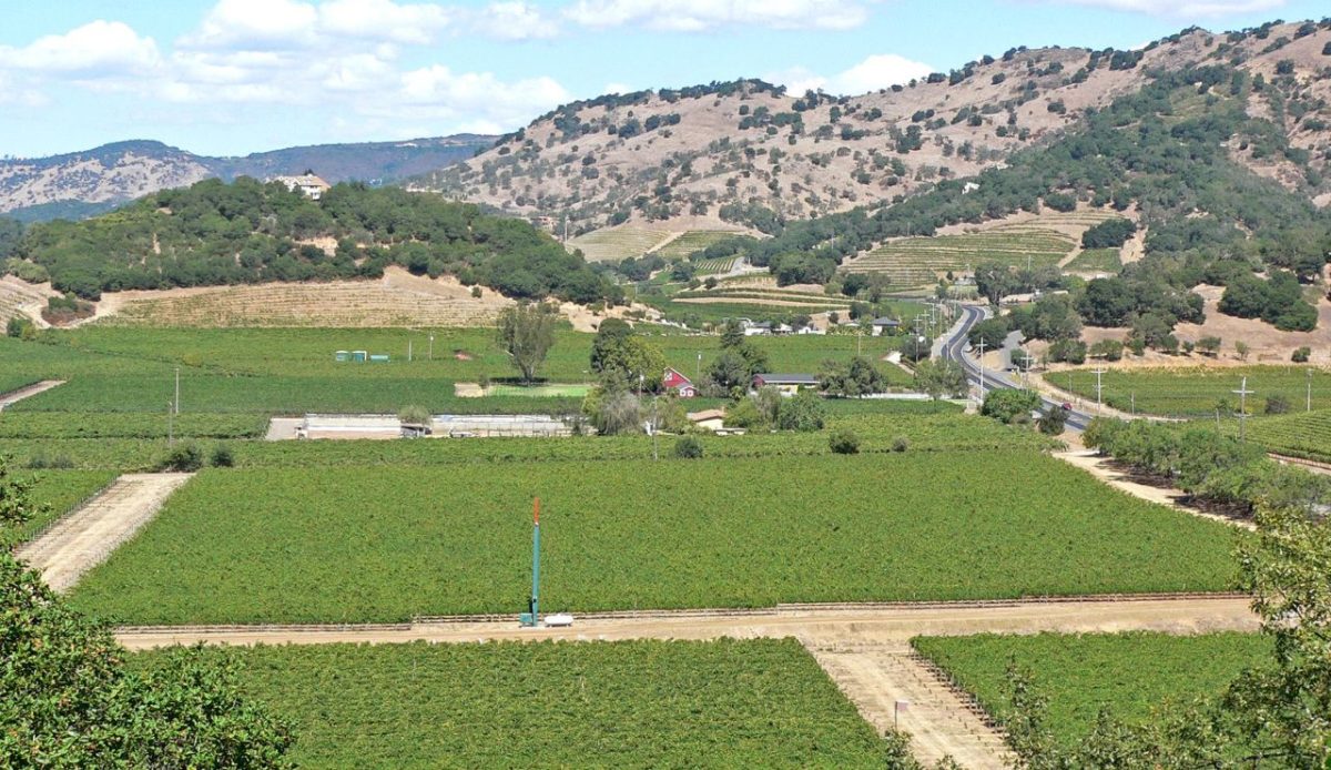 Northern California wine country and foothill getaways