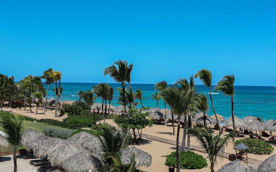 10 Beach Destinations Facing Severe Seaweed Surges