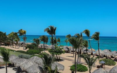 10 Beach Destinations Facing Severe Seaweed Surges