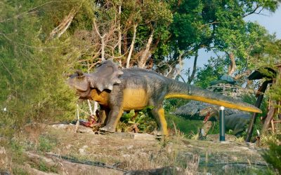 Home 17 9 Things You Didn’t Know About Backrock City
