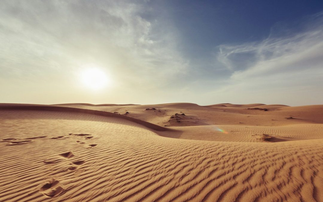 8 Desert Travel Tips to Keep You Safe in Extreme Conditions