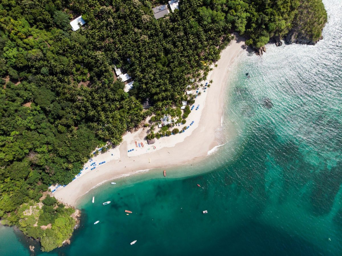 15 Great Places Around the World to Enjoy Retirement 8 trees near seashore
