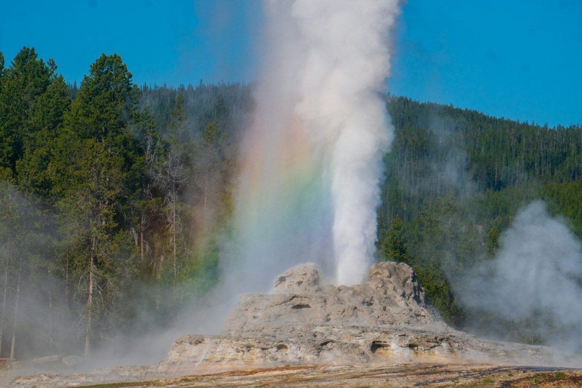 8 Reasons Yellowstone Should Be on Your 2026 Travel List 9 white smoke coming from green trees