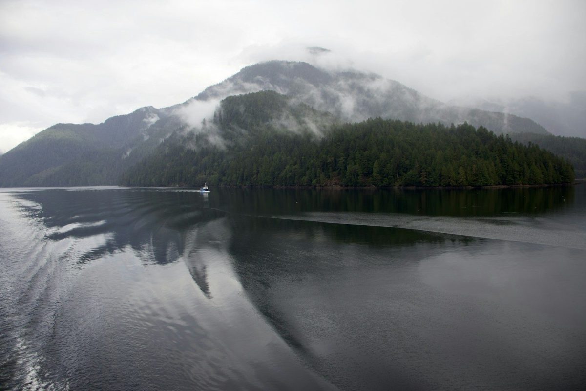 8 Canadian Wildlife Trips That Are Blowing Up on TikTok Right Now 3 a body of water surrounded by mountains and trees