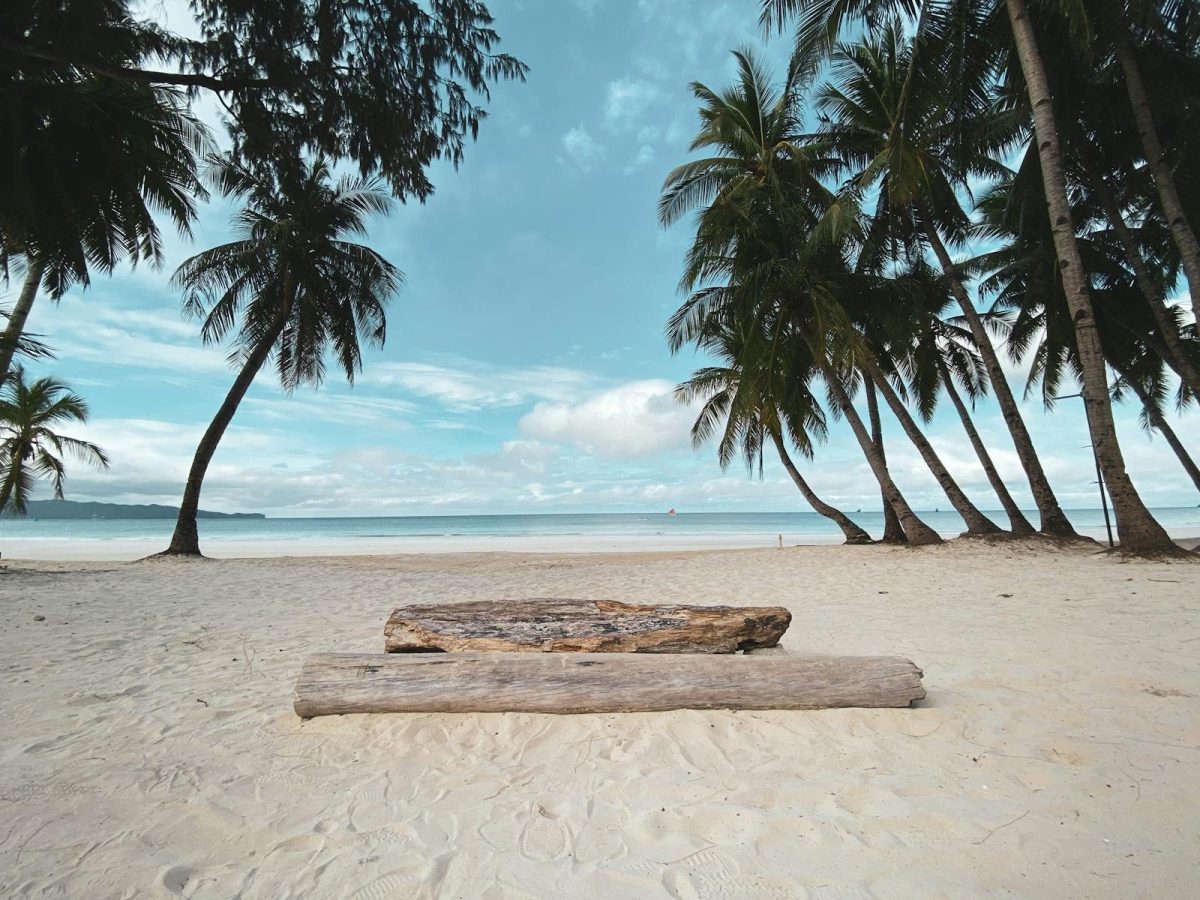 Idyllic tropical beach with palm trees, white sand, and driftwood under a blue sky.