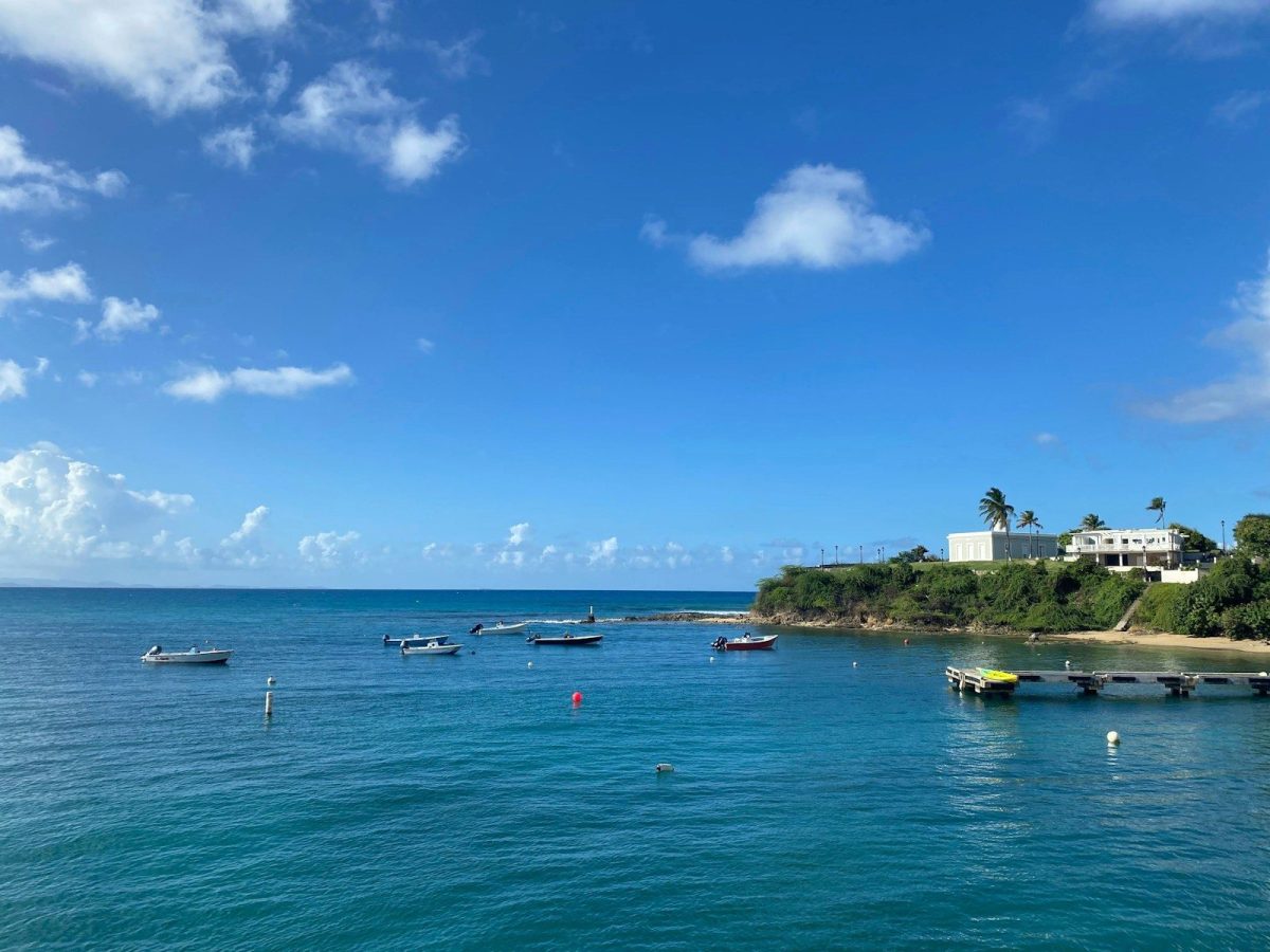 9 Dream Destinations for Ocean Life Enthusiasts 5 a group of boats floating on top of a body of water