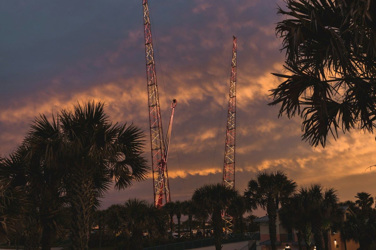 silhouette of trees during sunset