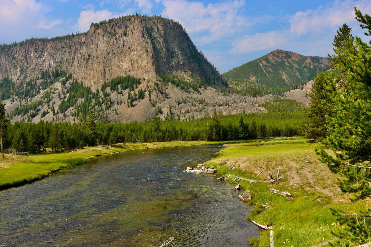 8 Reasons Yellowstone Should Be on Your 2026 Travel List 5 green grass field near mountain during daytime