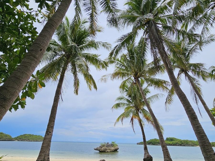A sandy beach with palm trees and a boat in the water