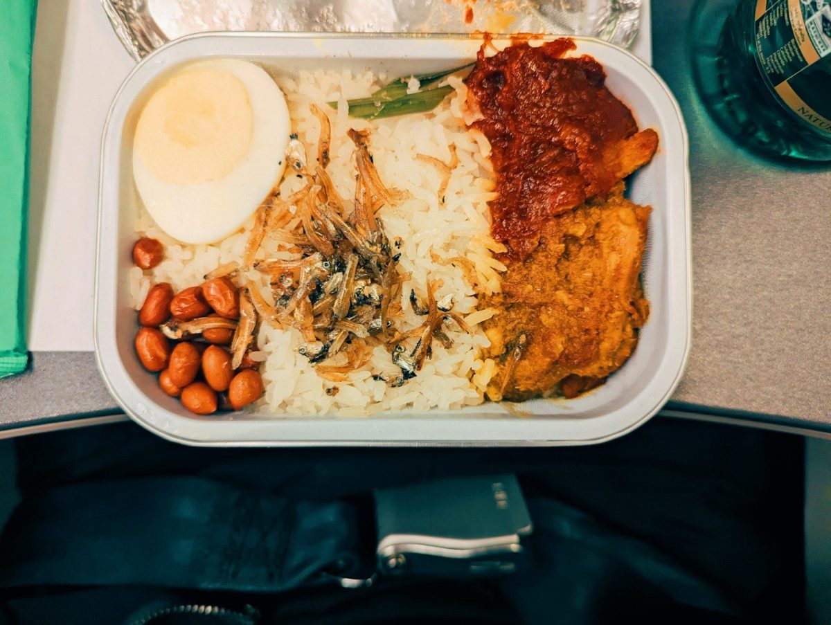 Airplane meal with rice, egg, peanuts, and chicken