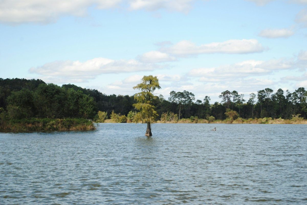 people on body of water during daytime