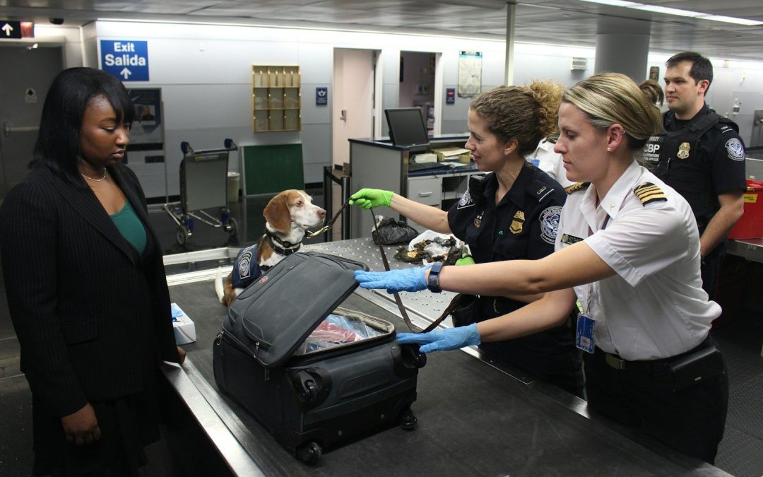 8 Airport Behaviors That Can Attract TSA Attention