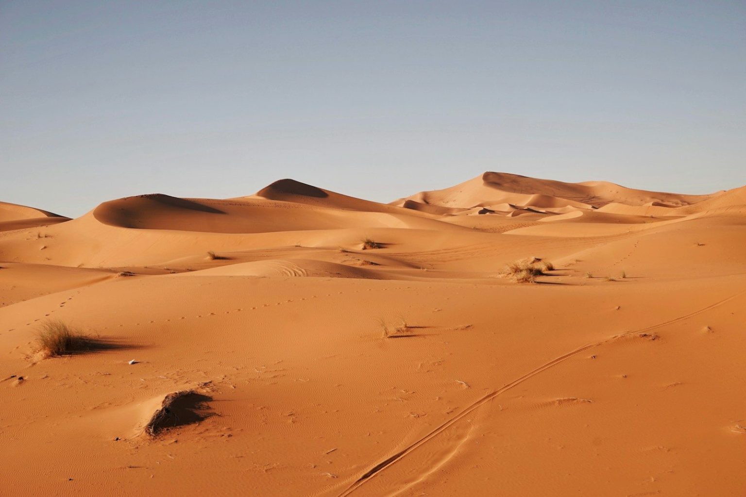 8 Desert Travel Tips to Keep You Safe in Extreme Conditions | Backroad ...