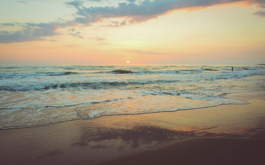 9 Dream Destinations for Ocean Life Enthusiasts